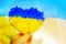 Independence of Ukraine. National Ukrainian flag. hand holds a blue-yellow heart made of flowers