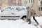 Independent woman shoveling snow in winter.