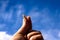 Index Finger and thumb holding a transparent vitaminin and zinc capsule of a blue sky with white clouds