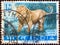 INDIA - CIRCA 1963: A stamp printed in India from the `Wild Life Preservation` issue shows an Indian lion, circa 1963.