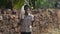 INDIA, GOA - 2012: Boys are playing cricket on a field of village