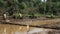 INDIA, GOA - DECEMBER, 2011: People working in the rice fields