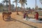 India, Hampi, 02 February 2018. Life in the village of Hampi - lunch, children, cows, palms, girls in a sari. The life of Indian