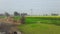 India Haryana former house field in green grass field in high voltage Tower