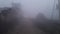 India Haryana in today fog in morning cool seasion