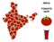 India Map Composition of Tomato