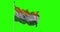 India national flag waving on green screen. Chroma key animation. Indian politics illustration