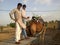 INDIA RAJASTHAN CAMEL CART TRANSPORTATION CULTURE, CAMEL RIDING