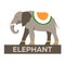 India. Tourism. Travelling illustration Indian. Modern flat design. Indian elephant.