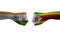 india vs Zimbabwe hand flag Man hands patterned with the india vs Zimbabwe flag