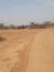 India Yellow soil and houses and trees