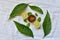 Indian Ayurvedic Kadha or Karha or health tonic for fighting seasonal infections, made using ginger, Vasaka leaves or Justicia