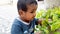 Indian baby boy eating plants