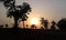 Indian bengali village balack cahridik sunset muhurto in rural area mednipore