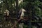 Indian Brahminy Kites in Zoological Park, india