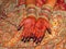 Indian bride\'s beautiful hand with henna tattoo