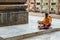 Indian Buddhist monk in meditation near The Bodhi Tree near Mahabodhi Temple while raining at Bodh Gaya, Bihar, India