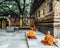 Indian Buddhist monk in meditation near The Bodhi Tree near Mahabodhi Temple while raining at Bodh Gaya, Bihar, India