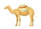 Indian camel with saddle vector concept