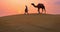 Indian cameleers camel driver with camel silhouettes in sand dunes of Thar desert on sunset.