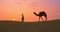 Indian cameleers camel driver with camel silhouettes in sand dunes of Thar desert on sunset. Jaisalmer, Rajasthan, India