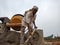 an indian construction worker making building material from spade on sky background in india dec 2019