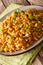 Indian cuisine: chicken Bhuna Keema with spices close-up on a pl