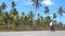 Indian dad and son riding a bicycle along asphalt road in tropical country on sunny day. Asian family cycling on track