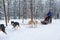 Indian family with child riding husky dog sledge in Lapland