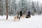 Indian family with child riding husky dogs sledge in Lapland