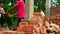Indian family members unloading bricks from tractor at construction site near Jaipur