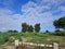 An indian farm greenry trees clouds