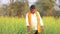 Indian farmer at black mustard field