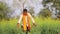 Indian farmer at black mustard field