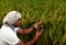 Indian Farmer checking growth of rice paddy farm and making call with smart phone