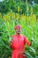 indian farmer counting and showing indian rupees at sorghum field