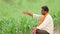 Indian farmer at green corn field