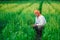 Indian farmer holding crop plant in his Wheat field