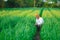 Indian farmer holding crop plant in his Wheat field