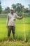 Indian Farmer in Paddy Field.