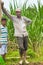 Indian Farmer in Paddy Field.