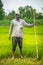 Indian Farmer in Paddy Field.