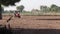 An Indian farmer plowing the land with the help of a tractor in the field