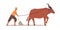 Indian farmer plowing with traditional primitive plough and ox. Farm worker and zeby on agriculture field in India. Man