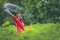 Indian farmer spreading fertilizer in the green banana field