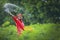 Indian farmer spreading fertilizer in the green banana field