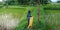 Indian farmers cleaning dust from wheat sack around agriculture green field