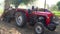 Indian farmers Cutting dry Plants of Millet and Grass in Agricultural Field. Millet fodder mostly uses in pets feeding.