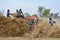 Indian farmers separating husk and wheat grains from the chopped wheat using a thresher machine.