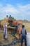 Indian farmers separating husk and wheat grains from the chopped wheat using a thresher machine.